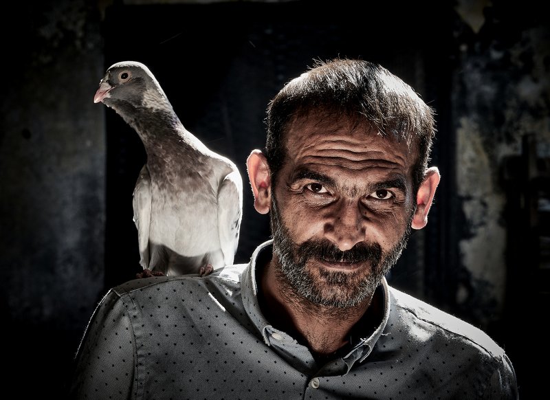 bird manphoto preview