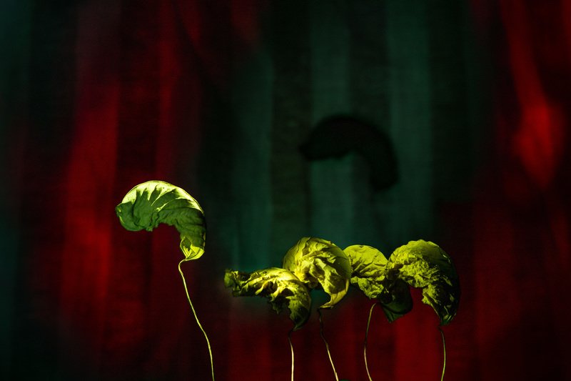 Пастырьphoto preview