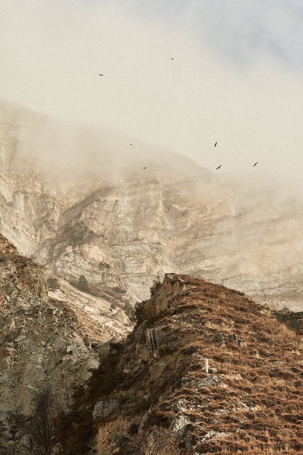 , Семён Конев