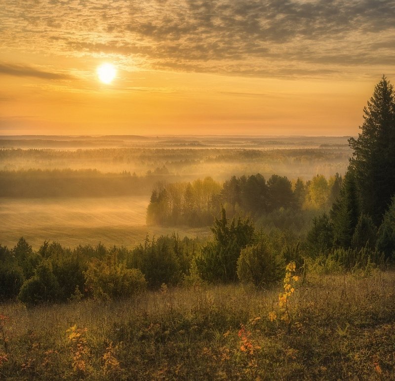 Туманные далиphoto preview