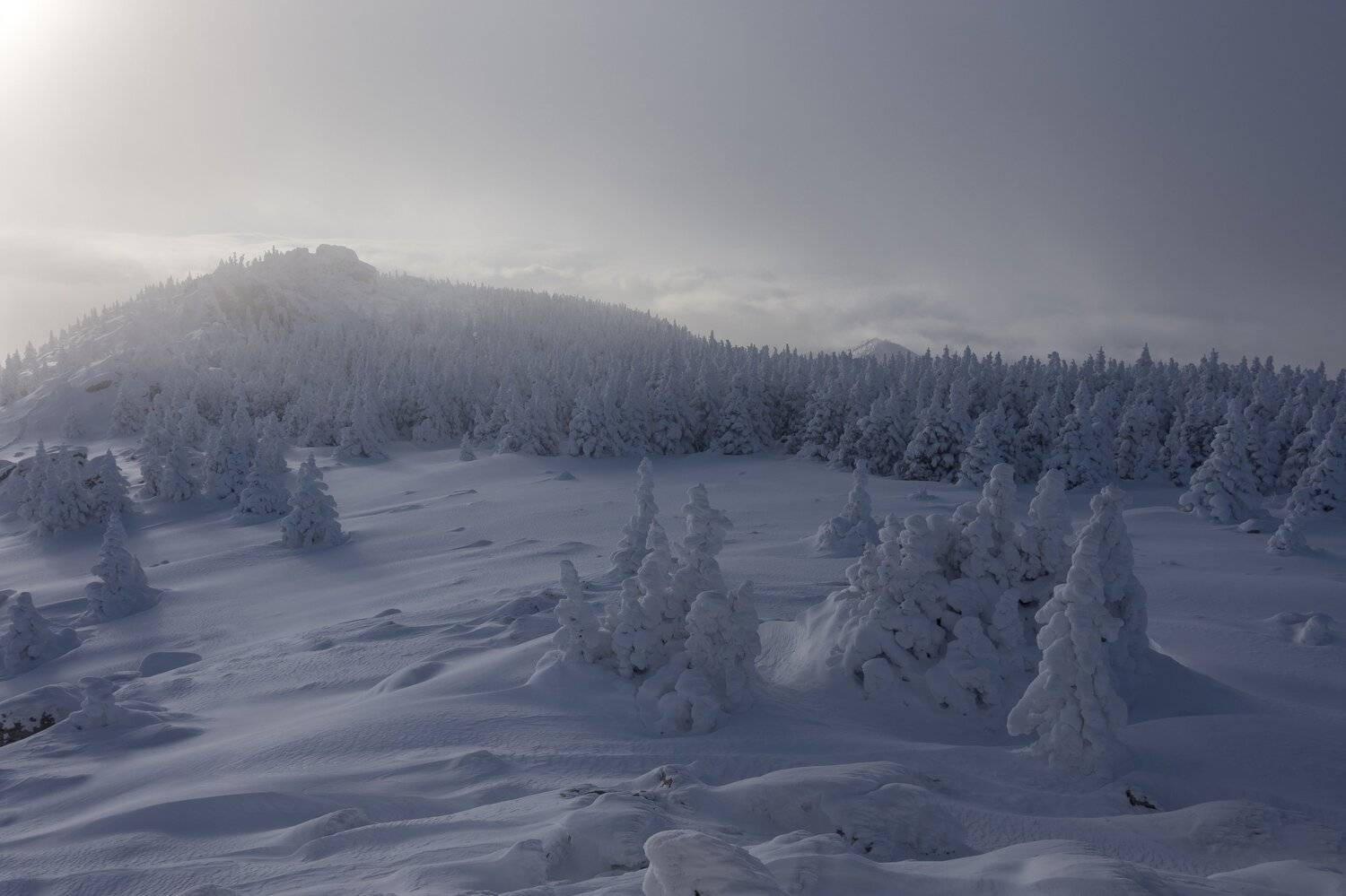 *******. Автор: Андрей Шарапов , Андрей Шарапов