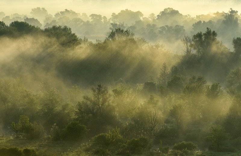 Рассвет, пейзаж, Двуречанский природный парк, лето, туман  Туманное утроphoto preview