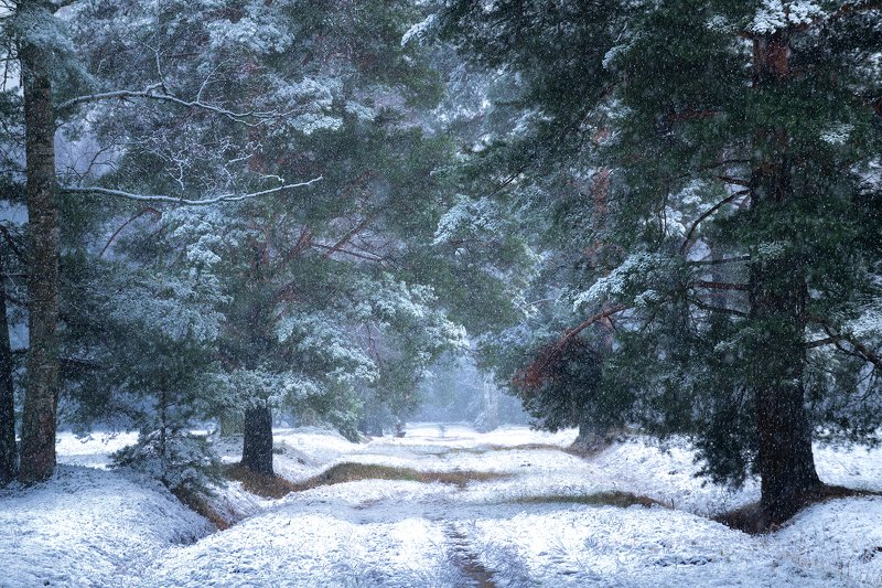 Павловск фото превью