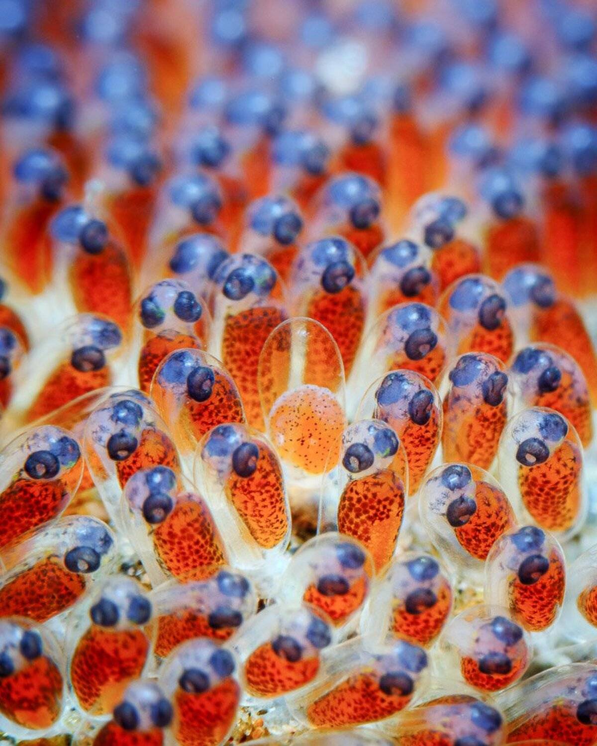 , Андрей Савин