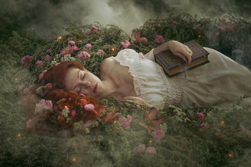 Сон в полыниphoto preview