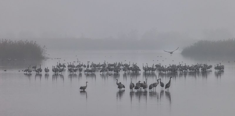 B&W Morningphoto preview