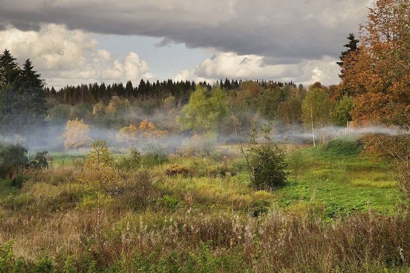 Вид из моего окна.photo preview