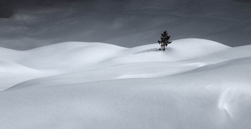 winter snow landscape minimalism alone tree blackandwhite bw Breaking the wavesphoto preview
