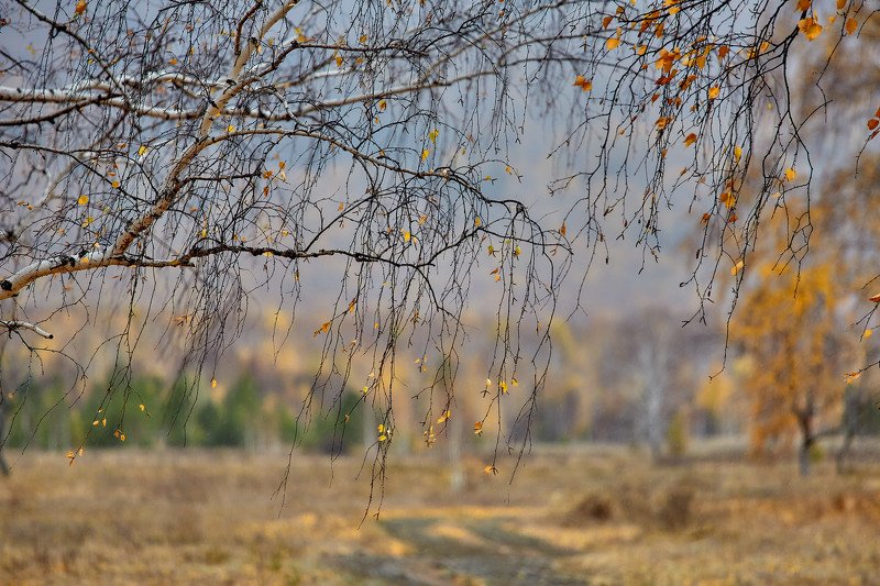 башкирия, южный урал орск новотроицк Октябрь...photo preview