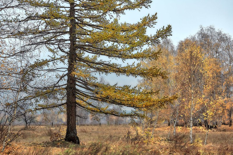 башкирия, южный урал орск новотроицк Осенняя тишина..photo preview