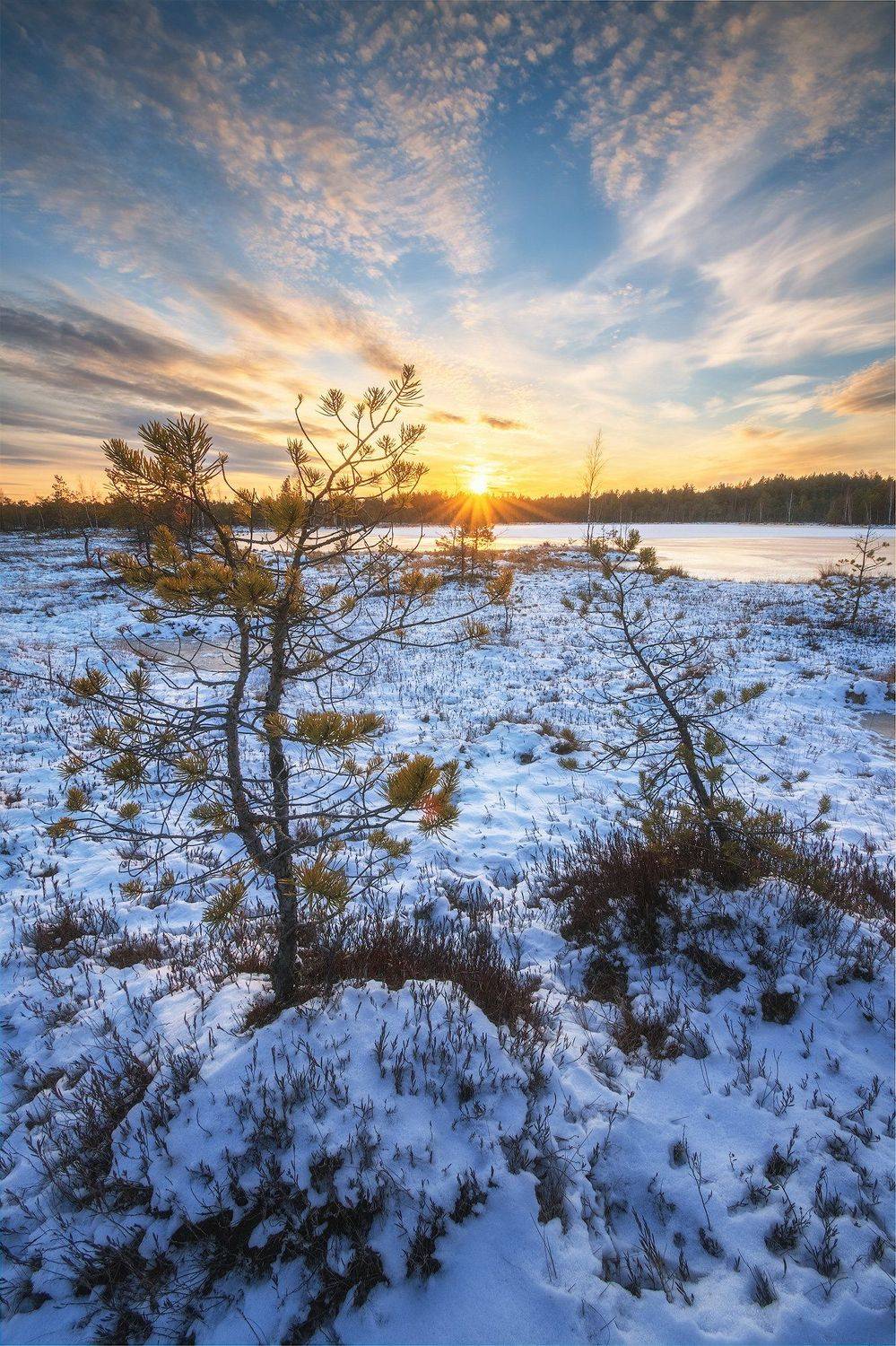 Пара. Автор: Кирилл Кузнецов пермский край, зима, пейзаж, россия, урал, шабуничи, болото, закат, лес, озеро, снег, Кирилл Кузнецов