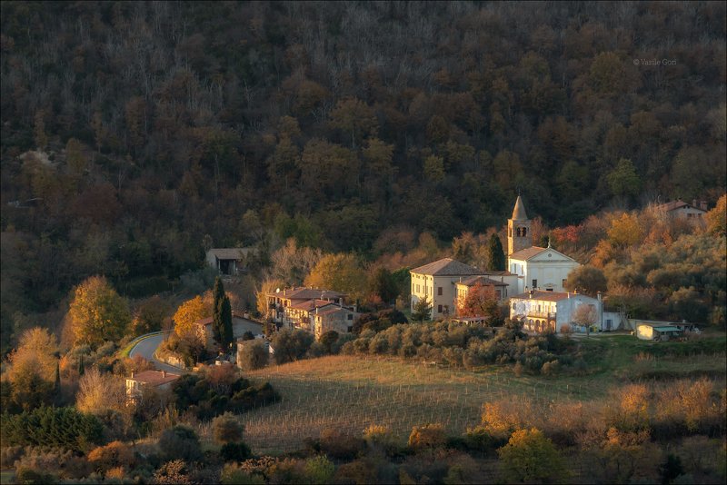 italy, faedo,italia,вечер,италия,veneto,кипарис,осень,венето,cipressi,belvedere,деревня,фаэдо FAEDOphoto preview