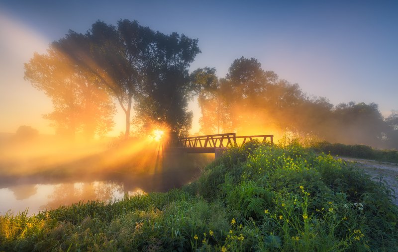ner, river, sunrise, light, flare, morning, poland Towards The Lightphoto preview