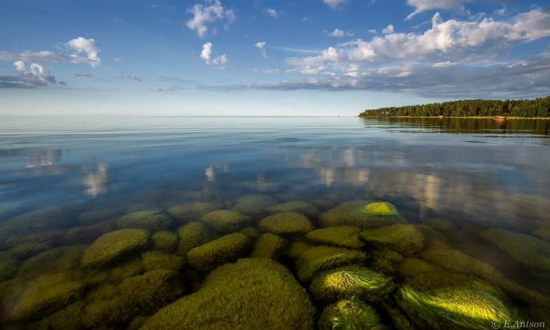 природа, пейзаж, балтийское море, отражения, эстония, nature, seascape, baltic sea, reflections, estonia Тихое море фото превью