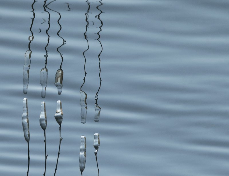 Меломан  Меломан фото превью