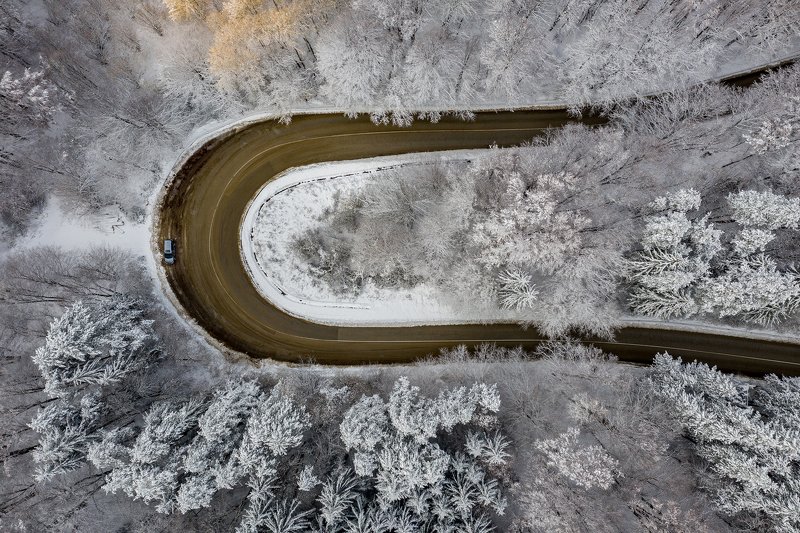 White silencephoto preview