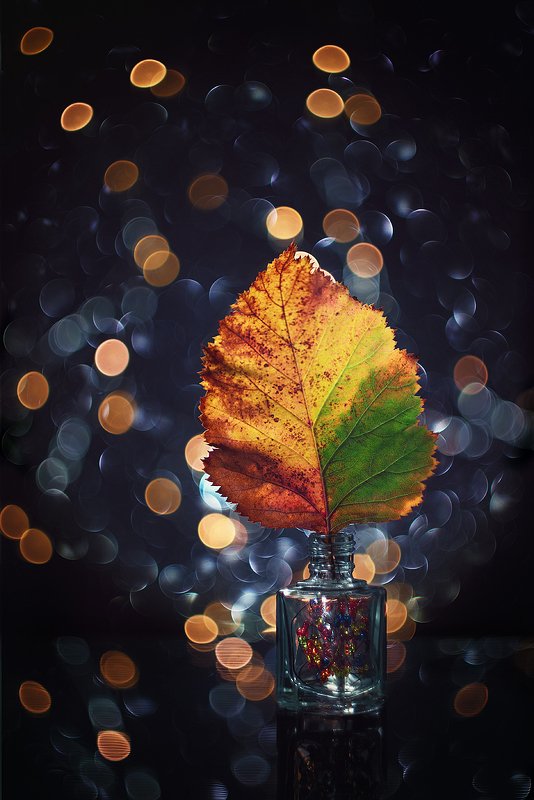 helios-44m, manual lens, мануальная оптика, beautiful, красивый, moment, момент, autumn, fall, осень, осенний, leaf, лист, hawthorn, боярышник, bokeh, боке, still life, натюрморт, Осенний вечер с оттенками зимы...photo preview
