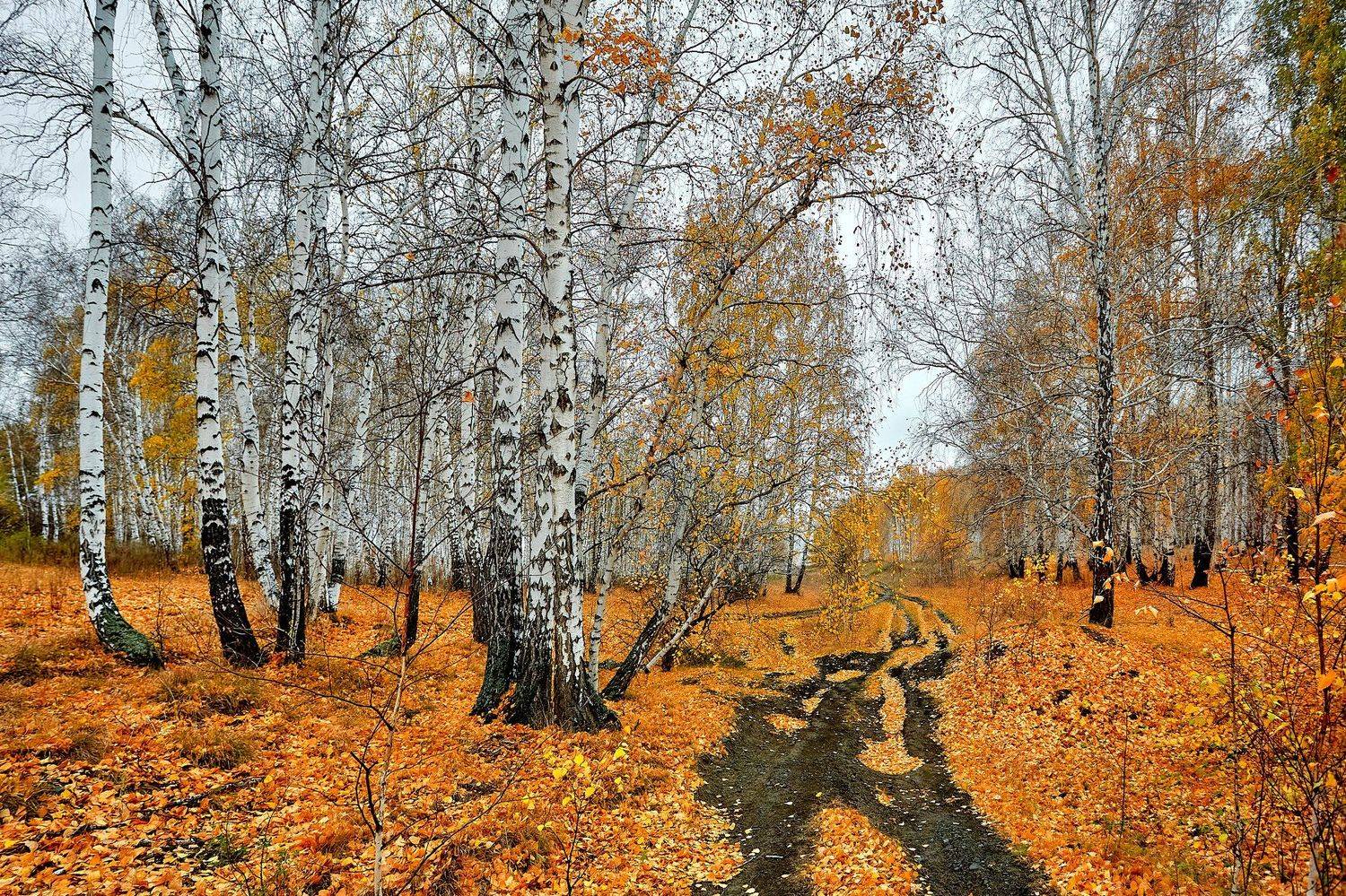 башкирия, южный урал орск новотроицк, Качурин Алексей