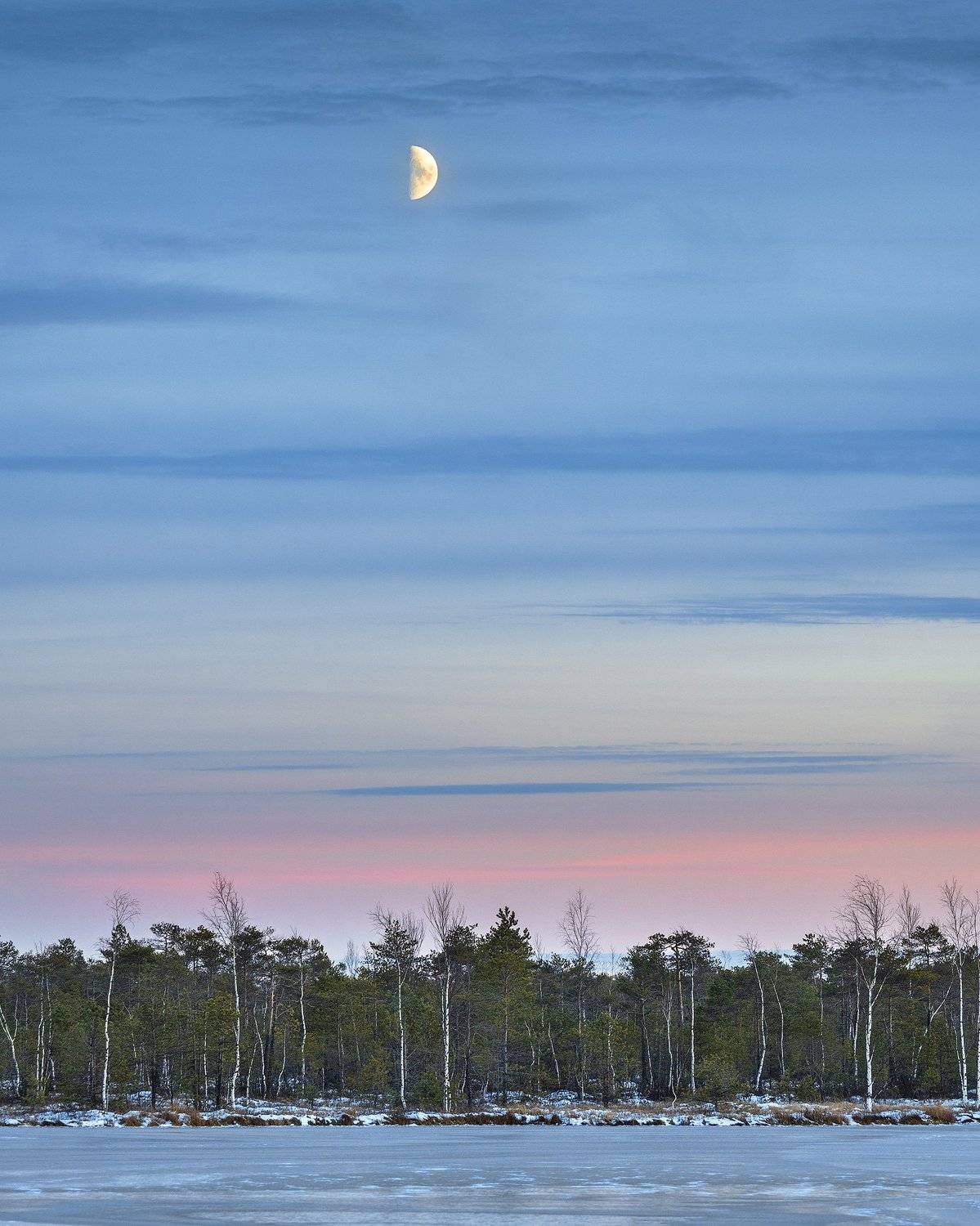 Вечер. Автор: Кирилл Кузнецов пермский край, зима, пейзаж, россия, урал, шабуничи, болото, закат, лес, озеро, снег, луна, Кирилл Кузнецов