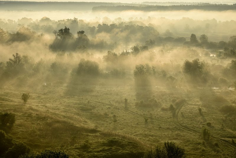 Пейзаж, рассвет, утро, Двуречанский природный парк. Туманное утроphoto preview