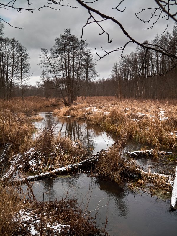 Volchasphoto preview