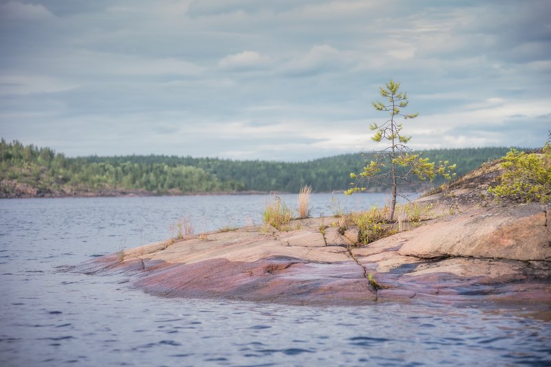 природа, пейзаж, острова, путешествия, лето, карелия Ладожские шхерыphoto preview