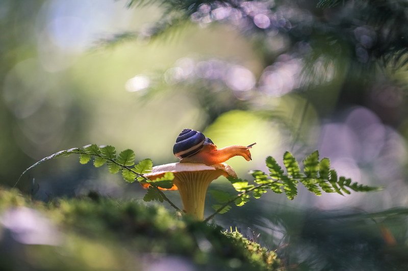 Утро нового дняphoto preview