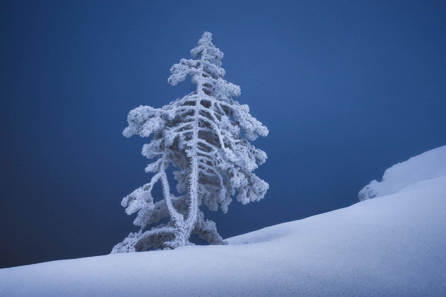 ай-петри, крым, фототур, Лузанов Вячеслав