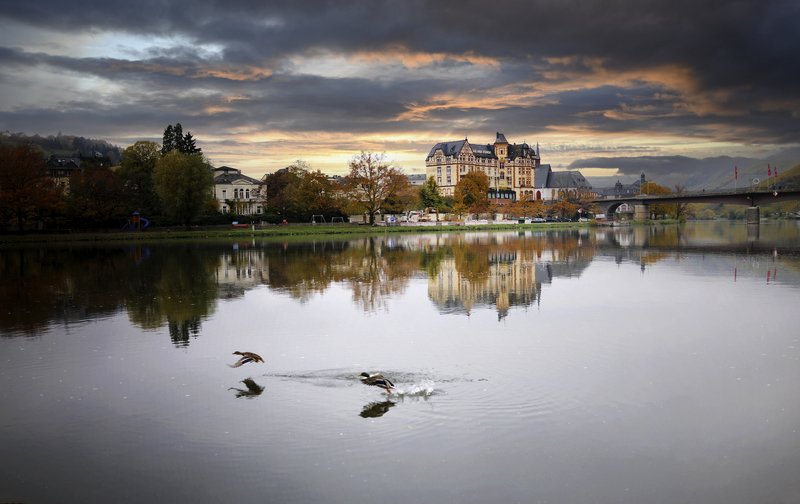 Rhine River bankphoto preview