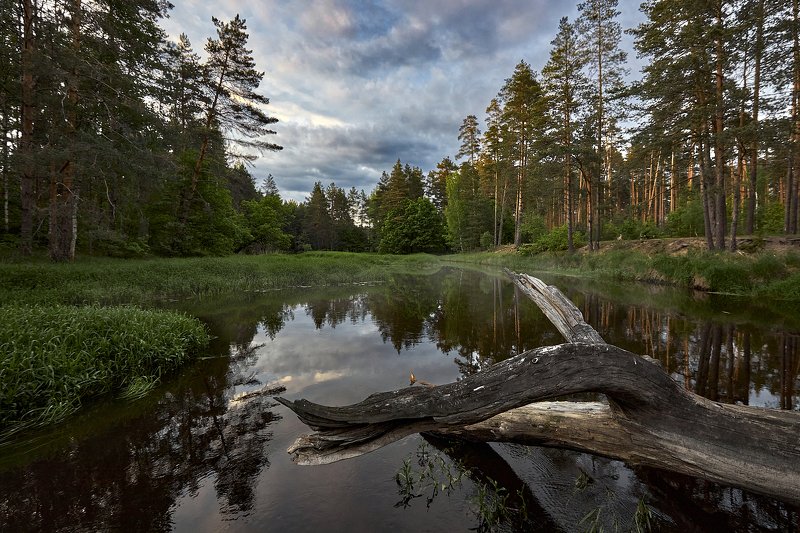 речка нерская *** фото превью