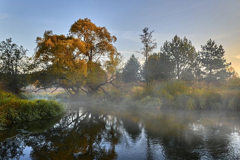 речка, гуслица *** фото превью