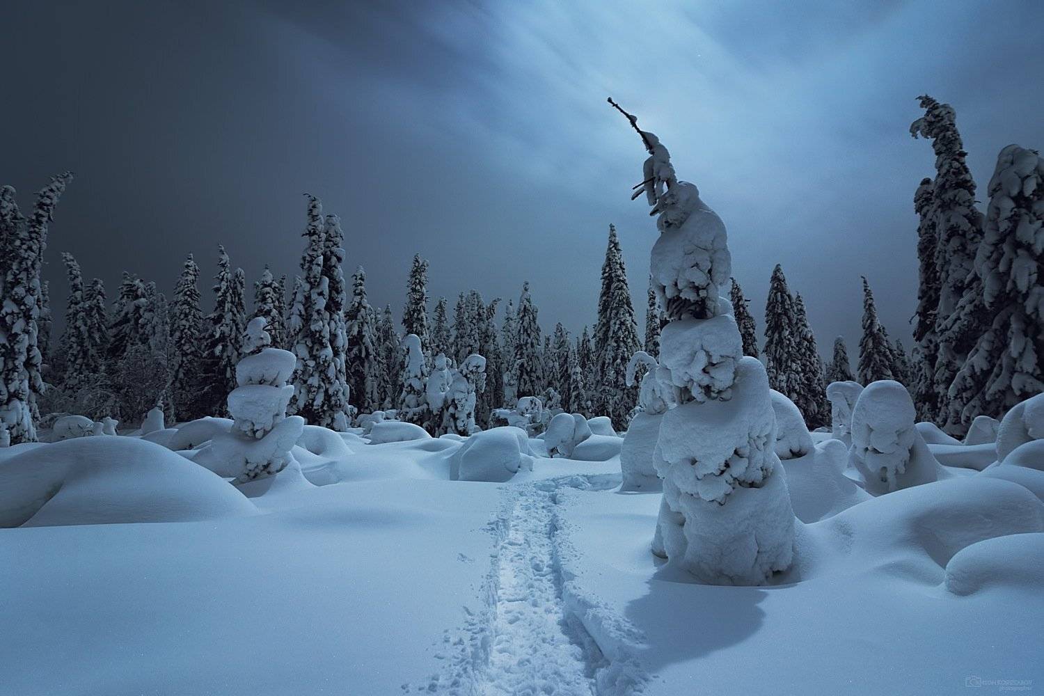 Ночная прогулка. Автор: Антон Кошетаров , Антон Кошетаров