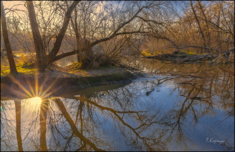 весна,затока,отражение,контражур Перевертышphoto preview