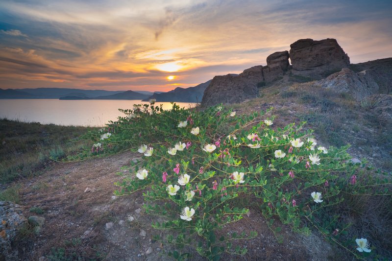 крым Крым 2020photo preview