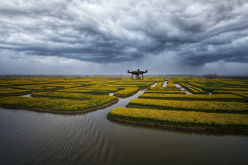 landscapes Landscapesphoto preview