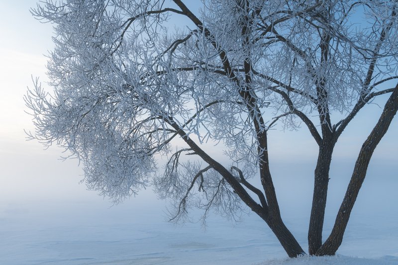 #зима #winter Февраль 2019photo preview