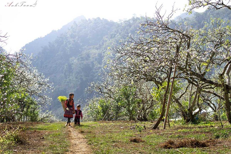 #sellingphoto #landscape Springphoto preview