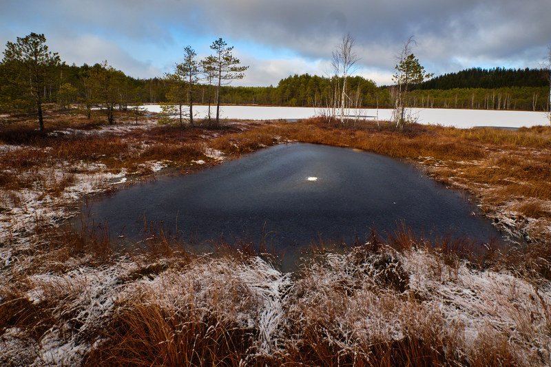 болото, осень, озеро Окоphoto preview