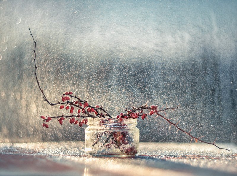 Солнечный барбарисphoto preview