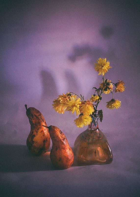 stillife,photography,yellow,light,fall, fallphoto preview