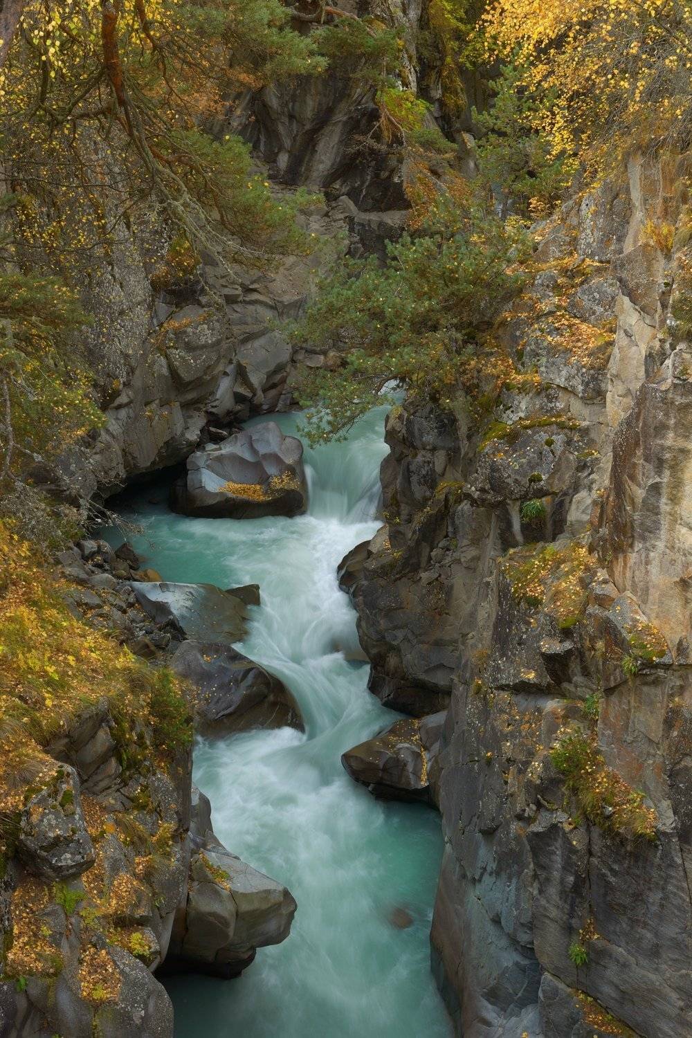 Каньон в Верховьях Чегема. Автор: Александр Жарников горы осень река каньон, Александр Жарников