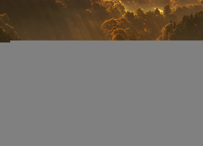 Landscape, sunrise, fog, nikon Golden valleyphoto preview