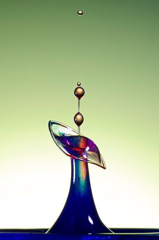 True Colors фото превью