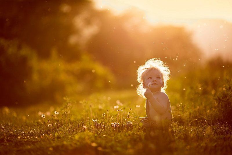 Одуванчикphoto preview