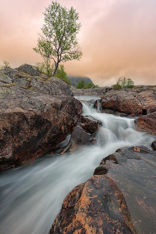 Утренний потокphoto preview