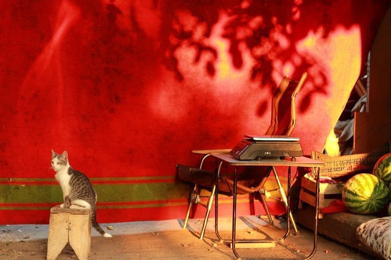 Продавщицаphoto preview