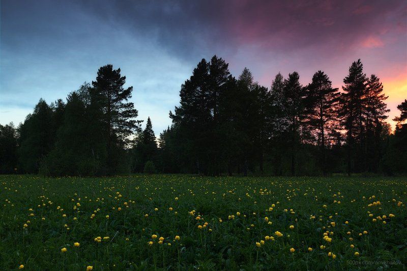 Погоня за солнцемphoto preview