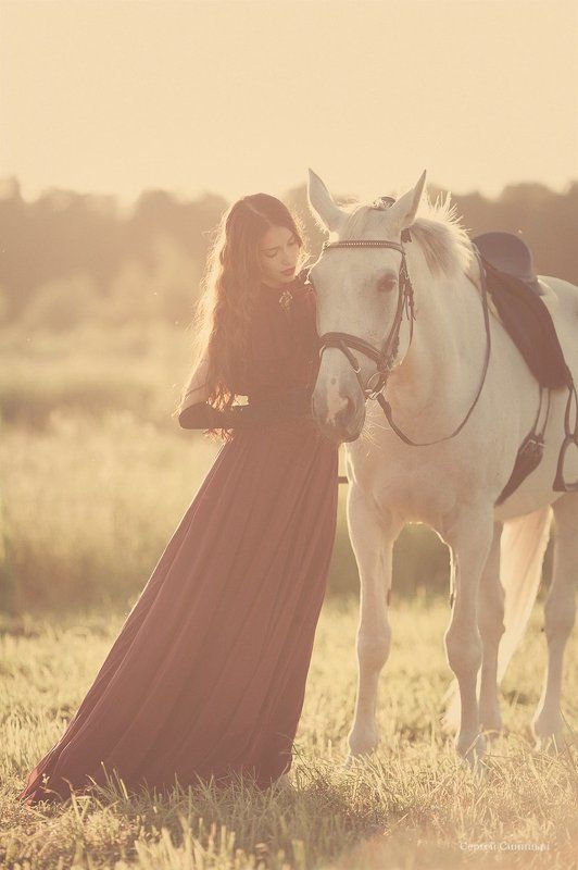 Кони, Лошади кони, Лошадь, Фотосессия с лошадью фотосессия  с лошадьмиphoto preview