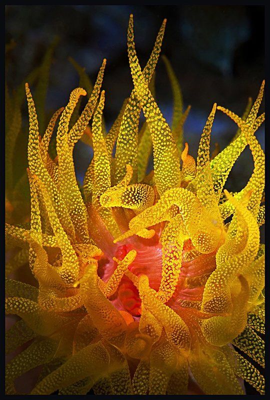 Пламяphoto preview