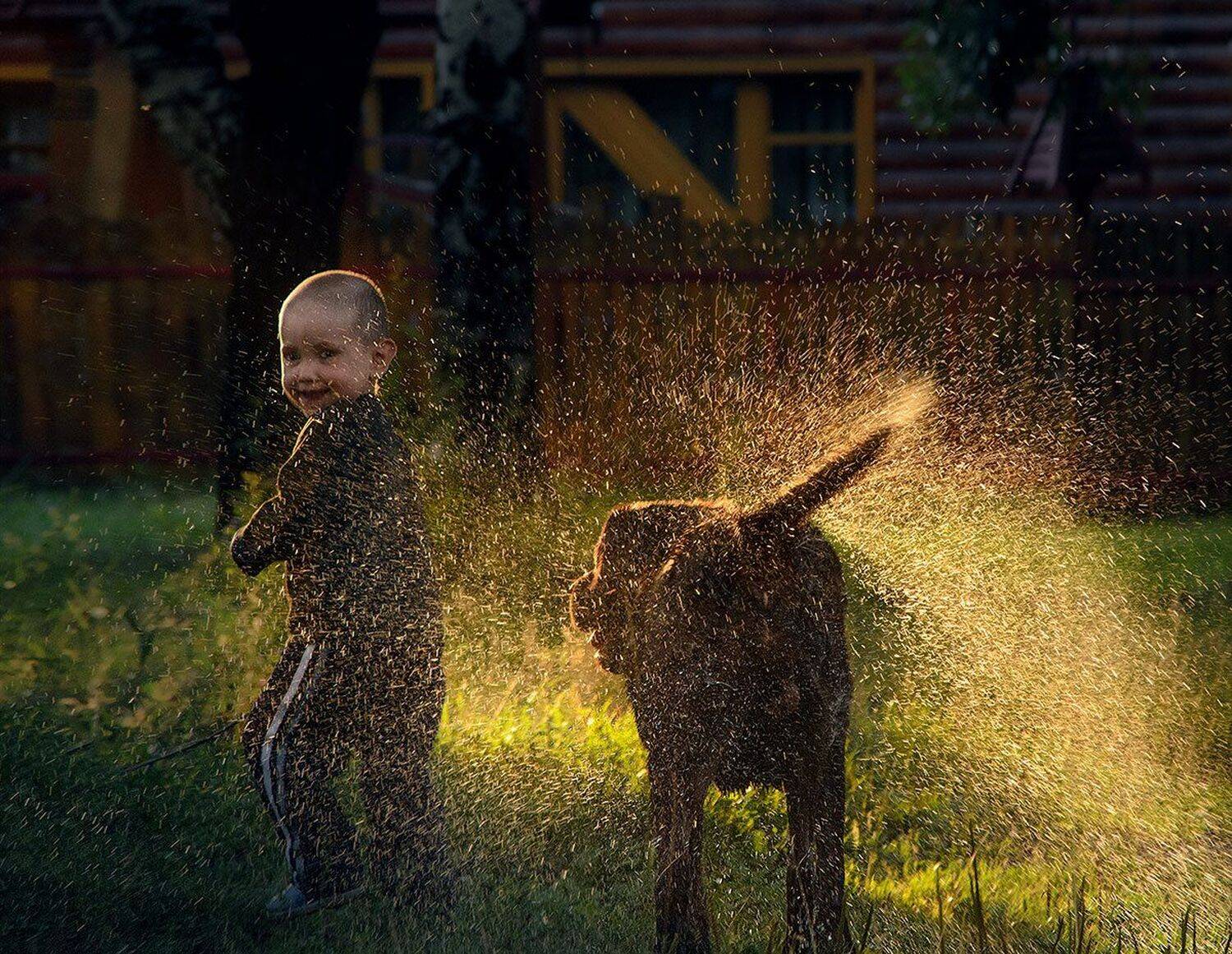 Друзья. Автор: Сергей Хромов мальчик, брызги, собака отряхивается, Сергей Хромов